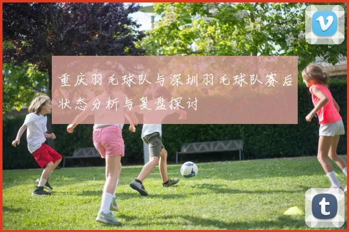 重庆羽毛球队与深圳羽毛球队赛后状态分析与复盘探讨