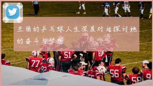 王丽的乒乓球人生深度对话探讨她的奋斗与梦想