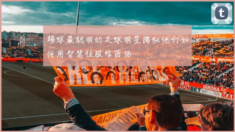 踢球最聪明的足球明星揭秘他们如何用智慧征服绿茵场