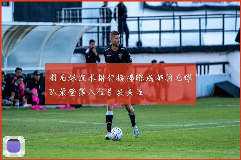 羽毛球技术排行榜揭晓成都羽毛球队荣登第八位引发关注