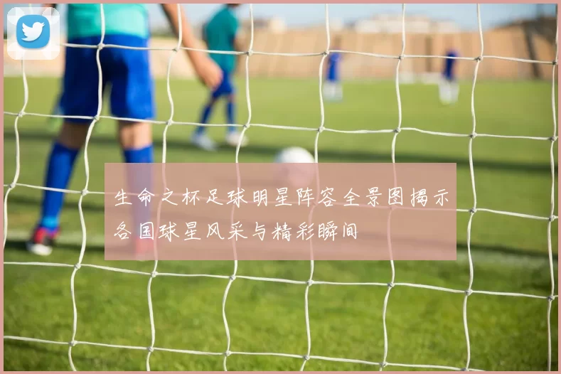 生命之杯足球明星阵容全景图揭示各国球星风采与精彩瞬间