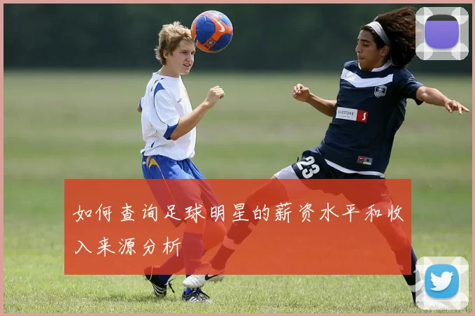如何查询足球明星的薪资水平和收入来源分析