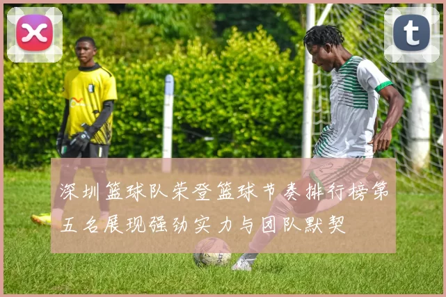 深圳篮球队荣登篮球节奏排行榜第五名展现强劲实力与团队默契