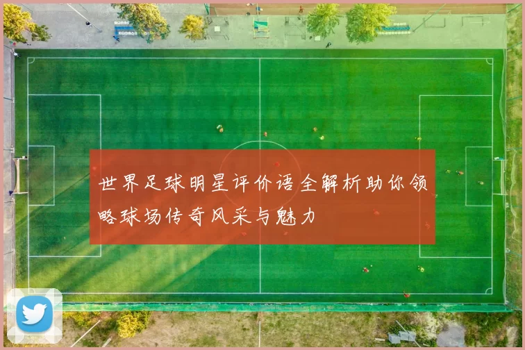 世界足球明星评价语全解析助你领略球场传奇风采与魅力