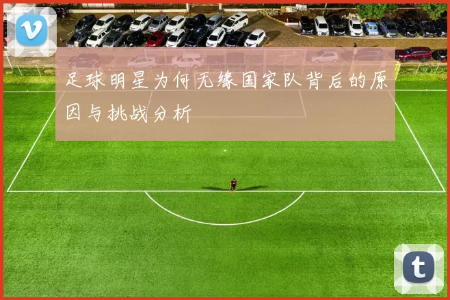 足球明星为何无缘国家队背后的原因与挑战分析