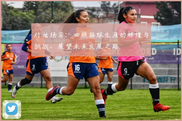 对话杨芳：回顾排球生涯的辉煌与挑战，展望未来发展之路