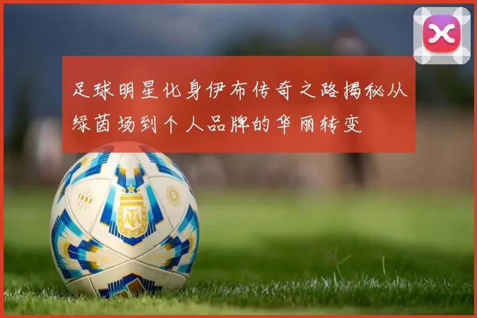 足球明星化身伊布传奇之路揭秘从绿茵场到个人品牌的华丽转变
