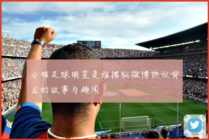 小猫足球明星是谁揭秘微博热议背后的故事与趣闻