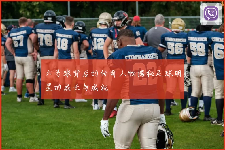 六号球背后的传奇人物揭秘足球明星的成长与成就