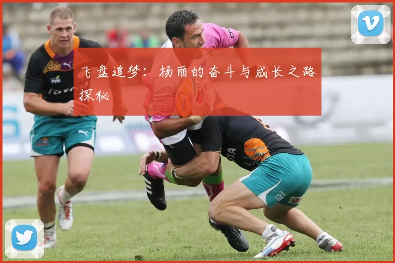 飞盘追梦：杨丽的奋斗与成长之路探秘