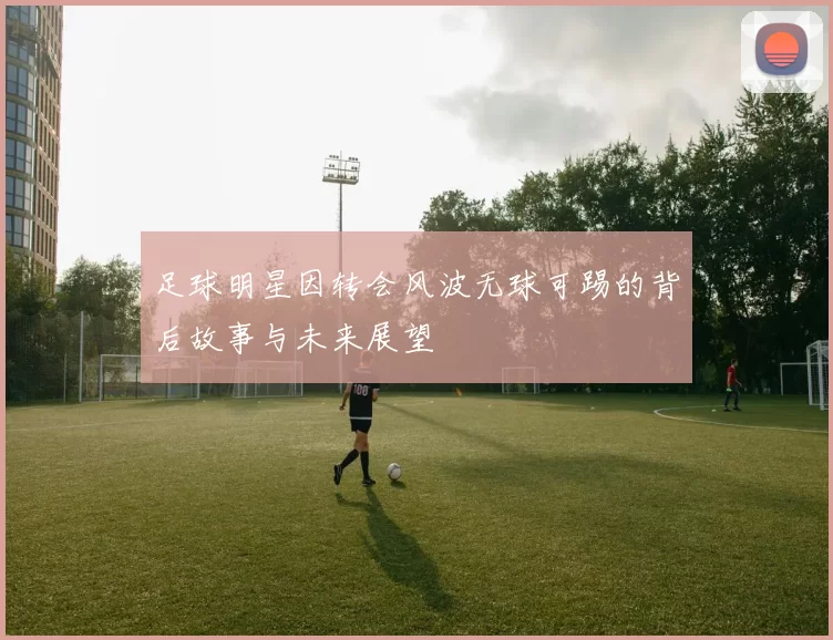 足球明星因转会风波无球可踢的背后故事与未来展望