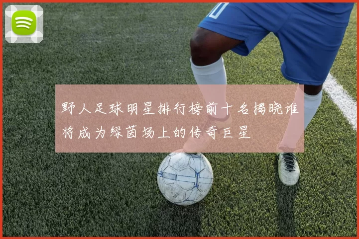 野人足球明星排行榜前十名揭晓谁将成为绿茵场上的传奇巨星