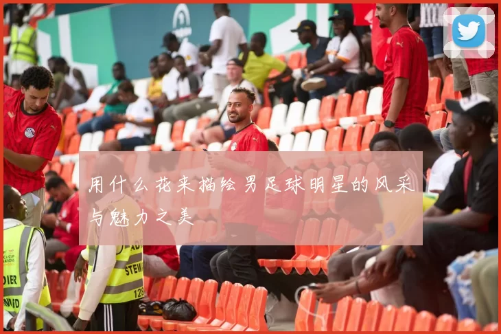 用什么花来描绘男足球明星的风采与魅力之美