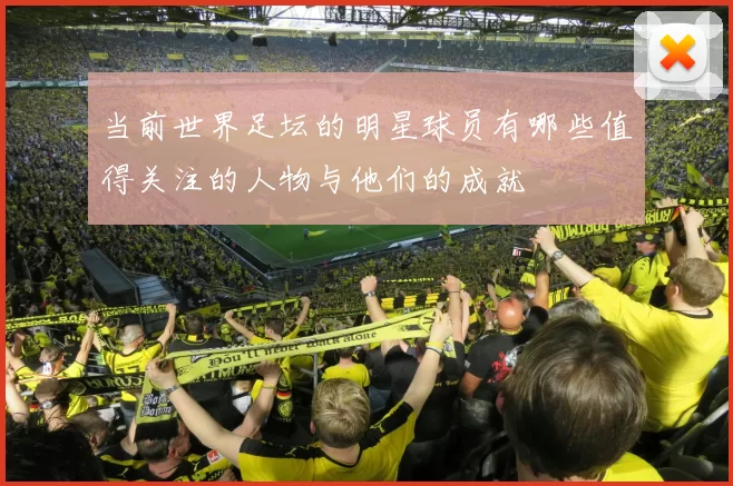 当前世界足坛的明星球员有哪些值得关注的人物与他们的成就