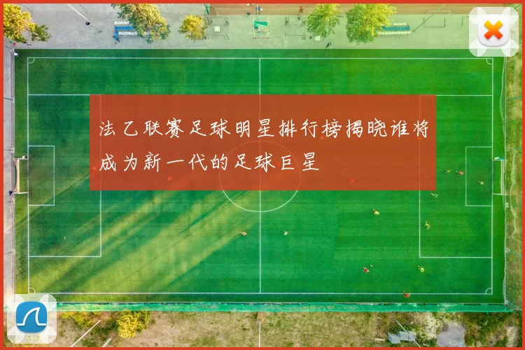 法乙联赛足球明星排行榜揭晓谁将成为新一代的足球巨星