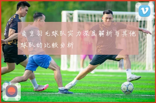 南京羽毛球队实力深度解析与其他球队的比较分析