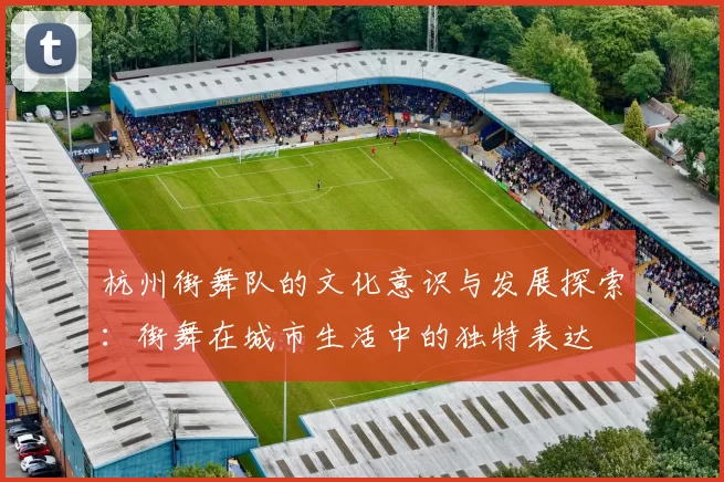 杭州街舞队的文化意识与发展探索：街舞在城市生活中的独特表达