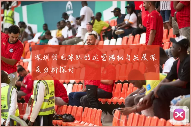 深圳羽毛球队的运营揭秘与发展深度分析探讨