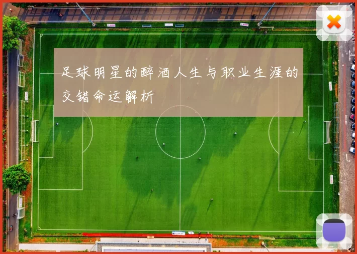 足球明星的醉酒人生与职业生涯的交错命运解析