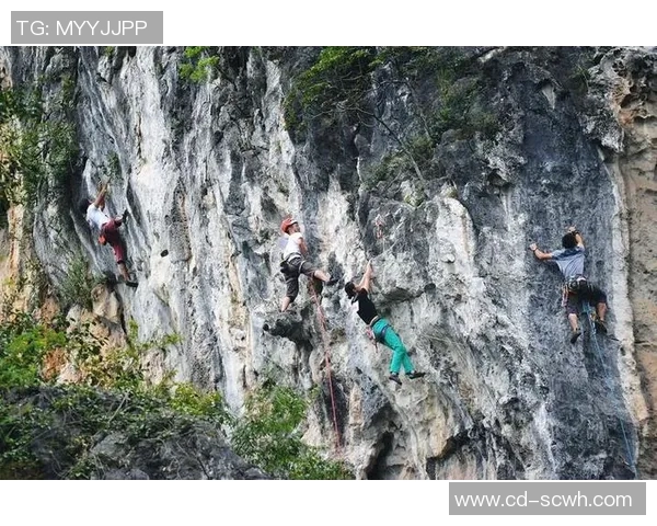 重庆攀岩队的速度之谜：探索攀岩巨献的魅力与挑战