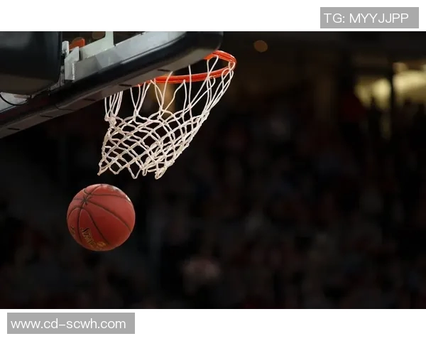 杭州篮球队近期状态分析与表现评估的全面解读与展望