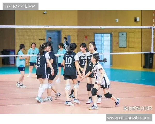 南京排球队荣登排球节奏排行榜首位引领全国潮流