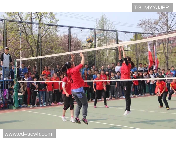 广州排球队的默契配合与战术分析探讨排球运动的魅力与团队精神